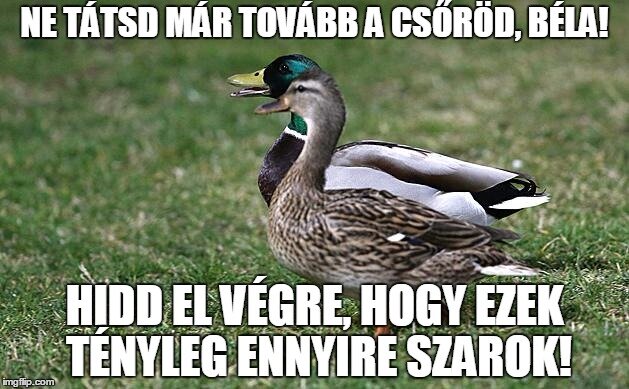 réce mém 3